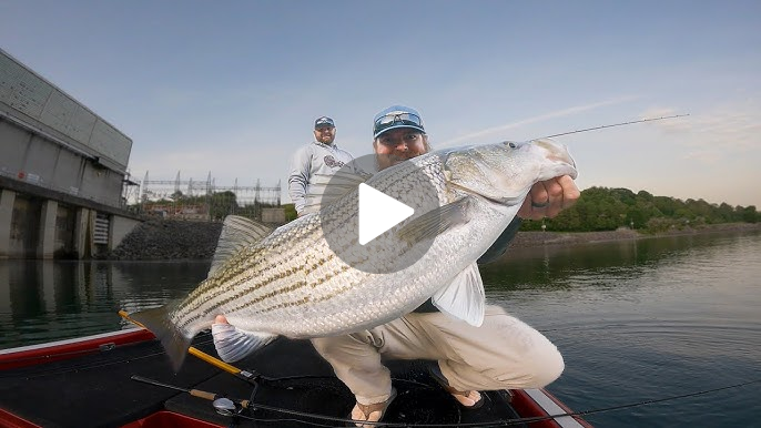 Fishing School: Unlock The Secrets of Catching Fish (2024)