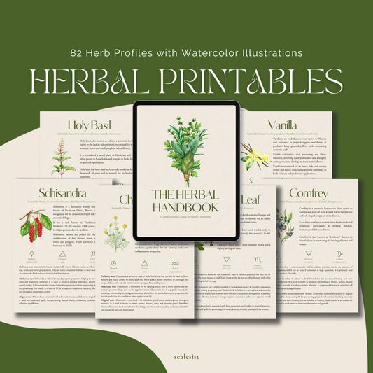 A Guide to Nature's Remedies